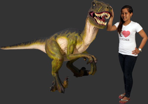 Dromaeosaurus