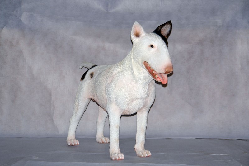 bull terrier proof toys