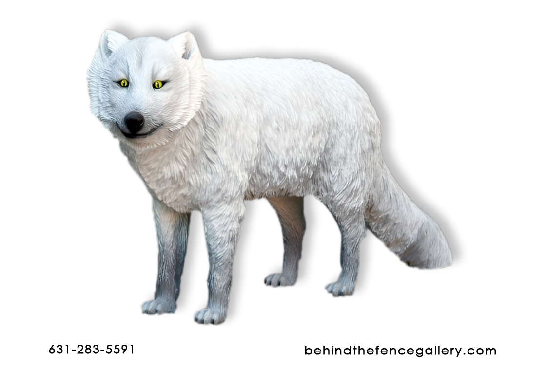 Arctic White Fox