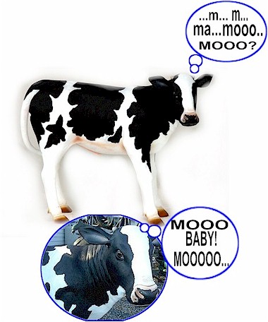 Calf - Life-Sized Calf - Life-Sized