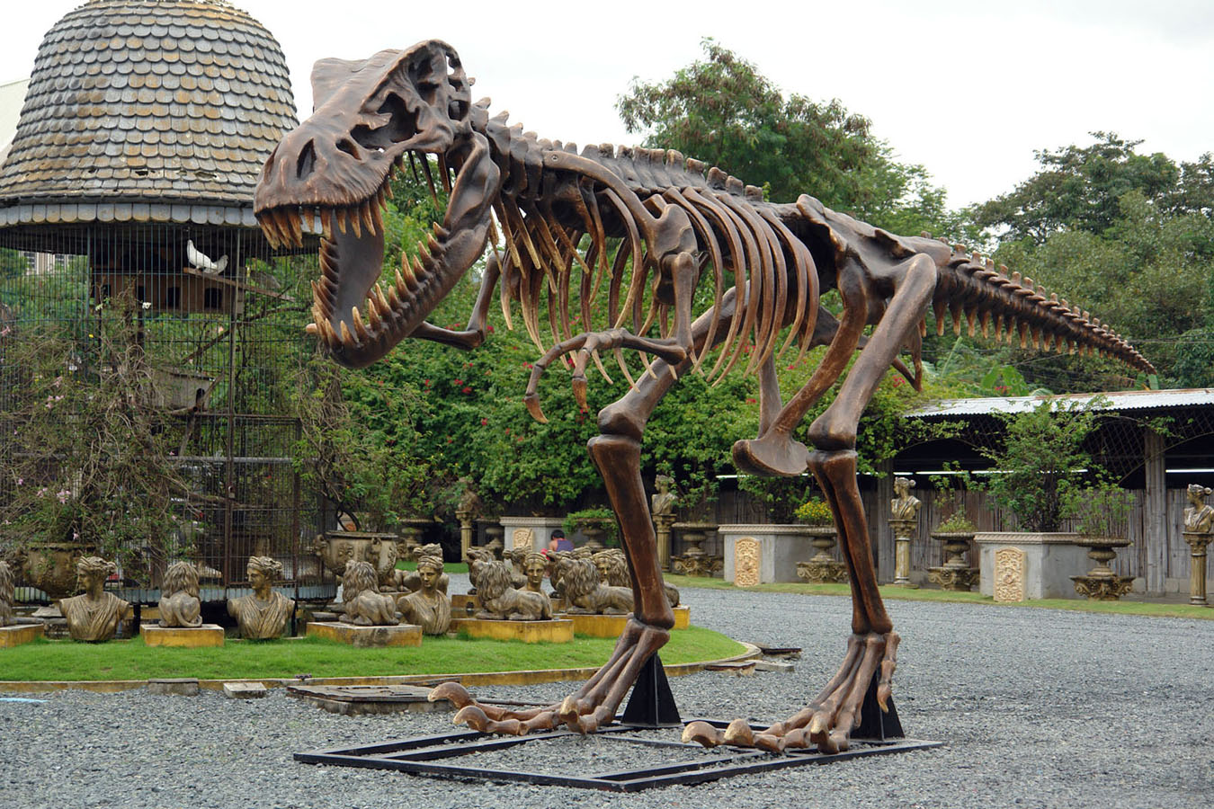 t rex skeleton for sale