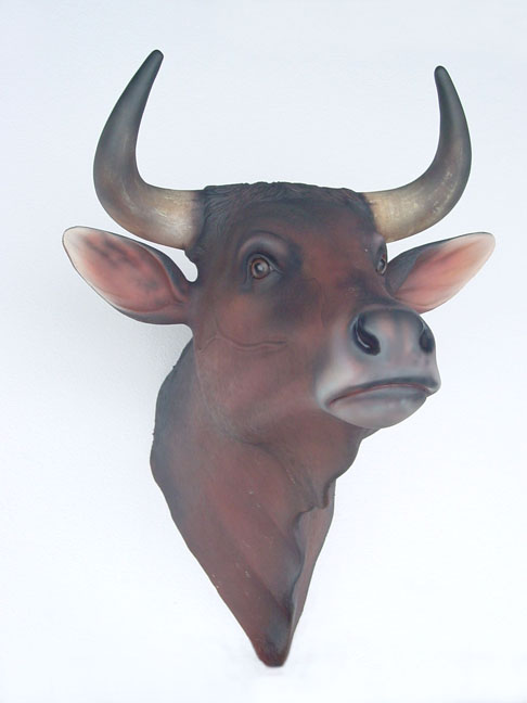 Bull Head