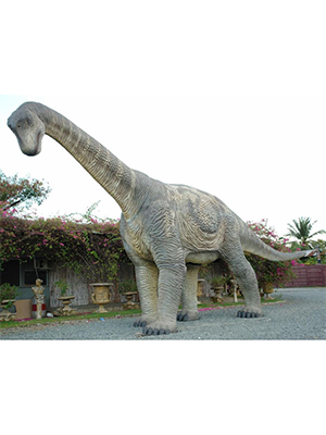 Camarasaurus 20 Ft.