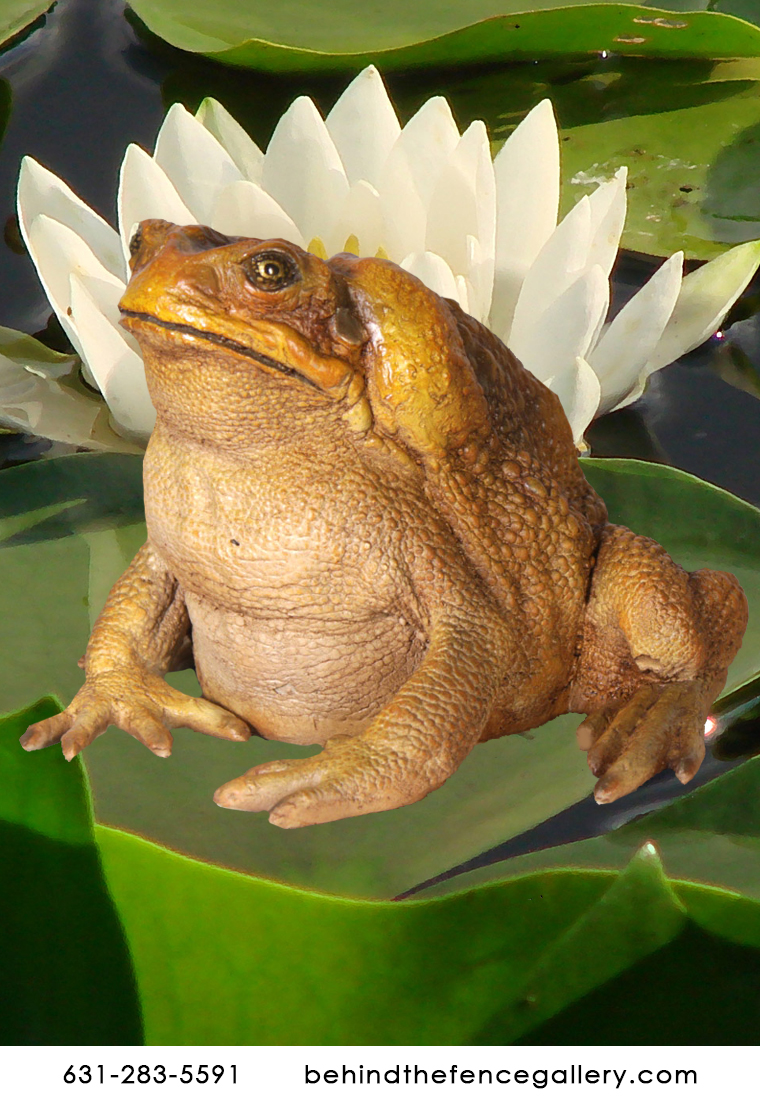 Cane Toad Statue