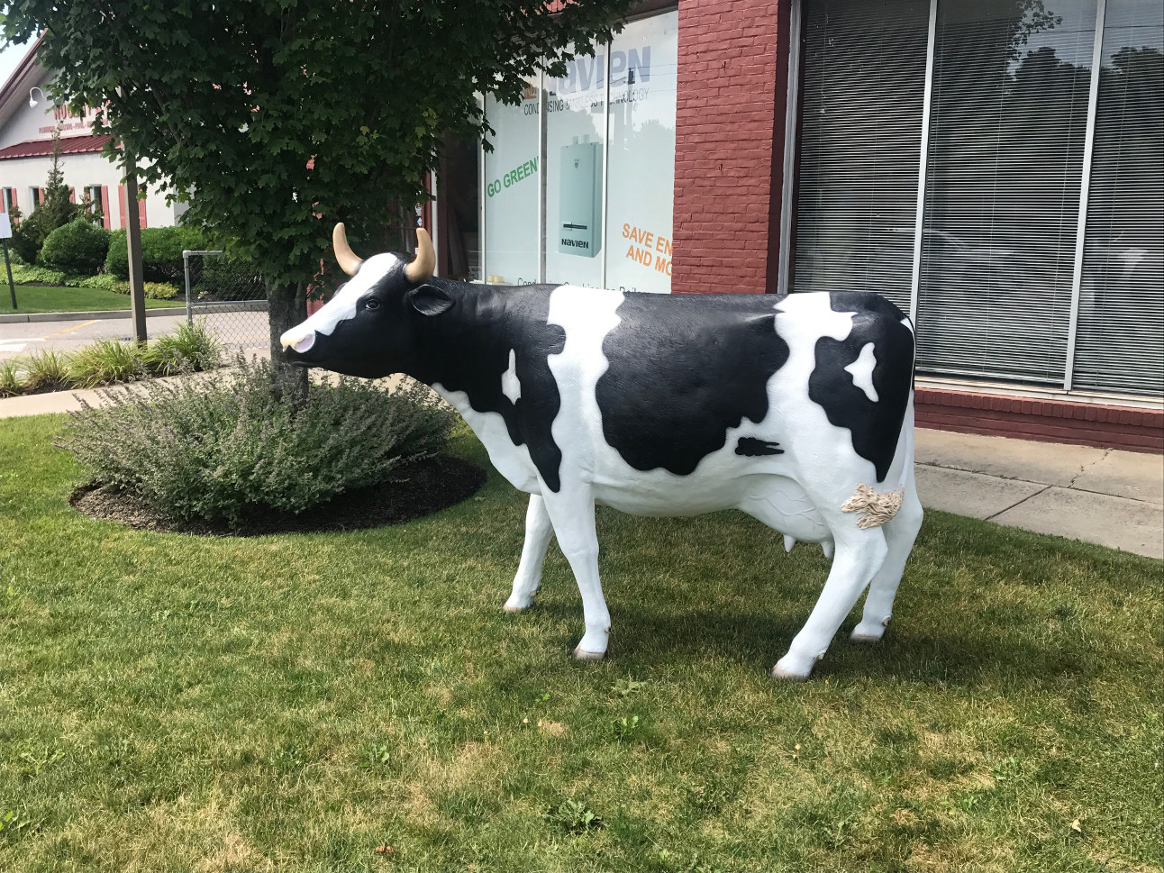 Cow statue life size