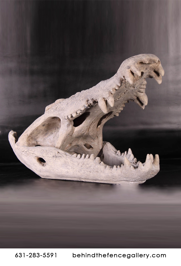 Crocodile Skull Sculpture