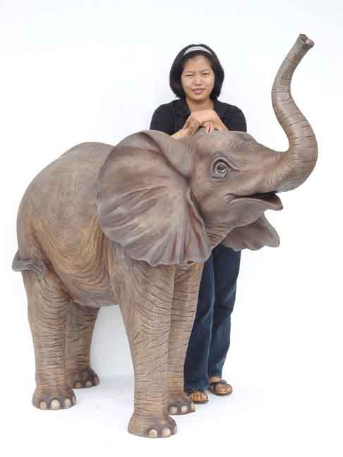 Elephant Standing