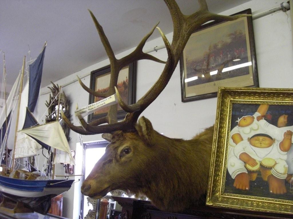 Elk Head Elk head [TD001] 2,499.99 Life Size Statues, Fiberglass