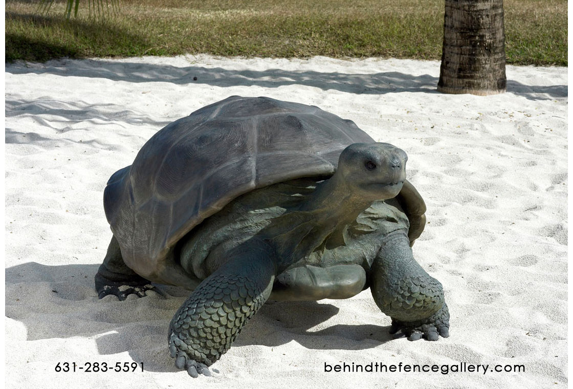 Turtle Statue Galapagos Tortoise Reptile - Click Image to Close
