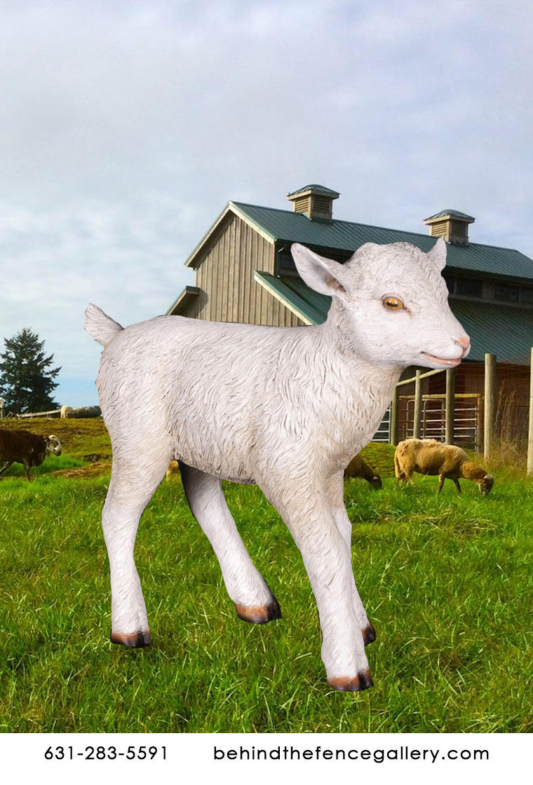 Goat Kid Standing Statue
