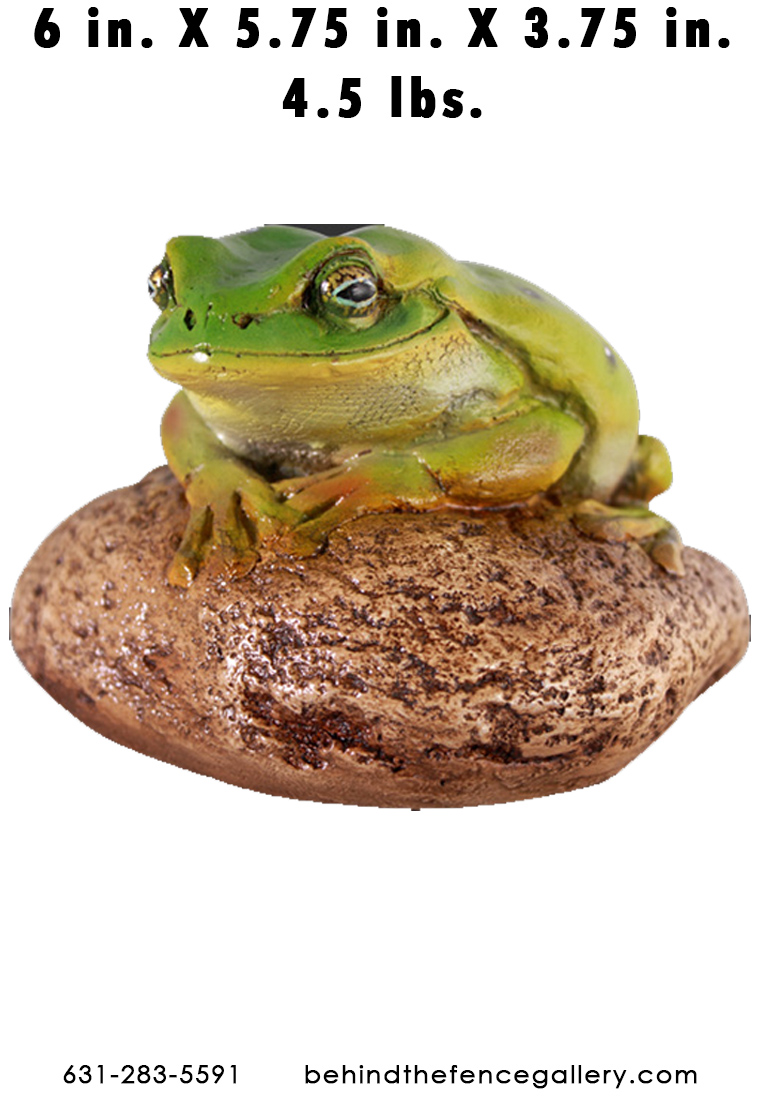 Small Green Frog on Rock Statue