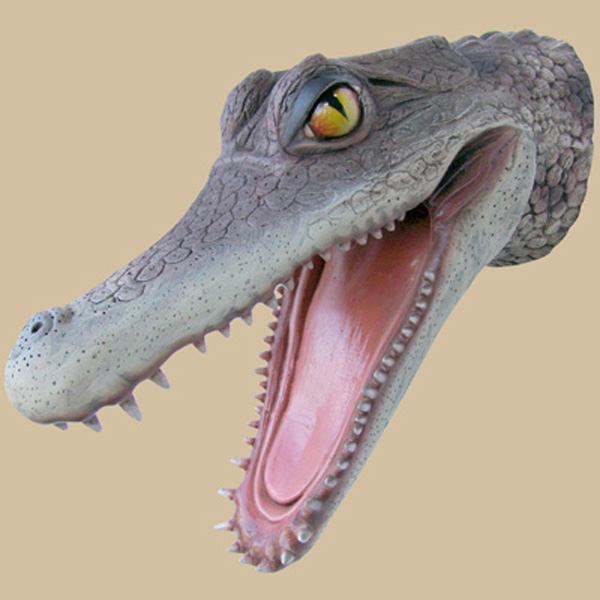 Alligator Head