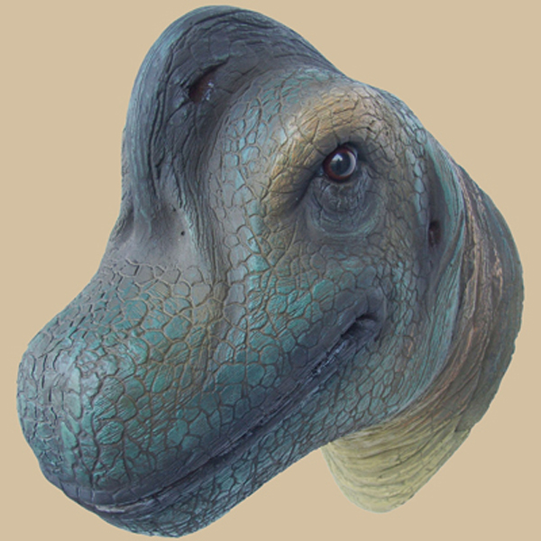 brontosaurus head