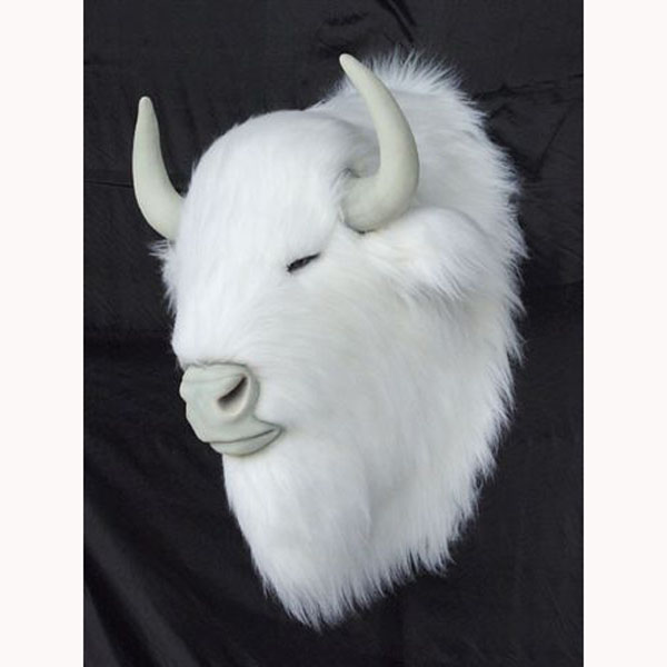 Albino Bison Head