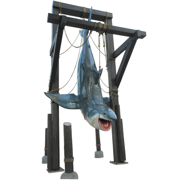 Display Stand for Shark