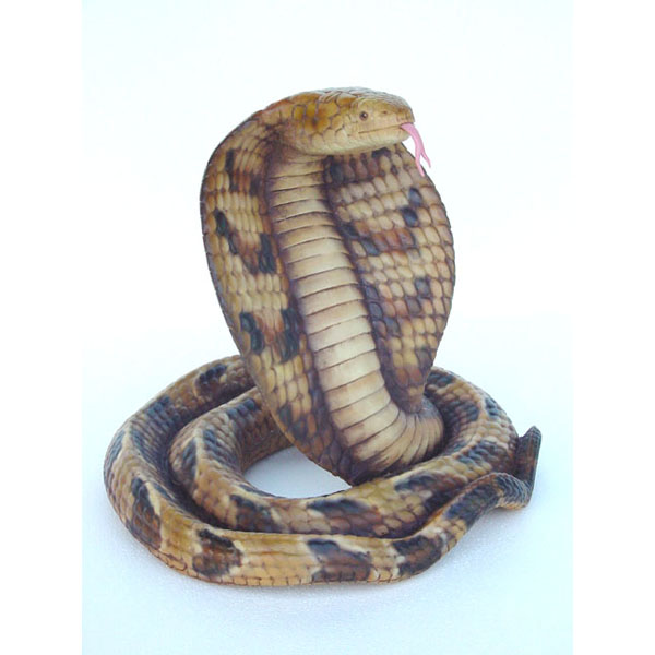 Cobra ( Realistic color )