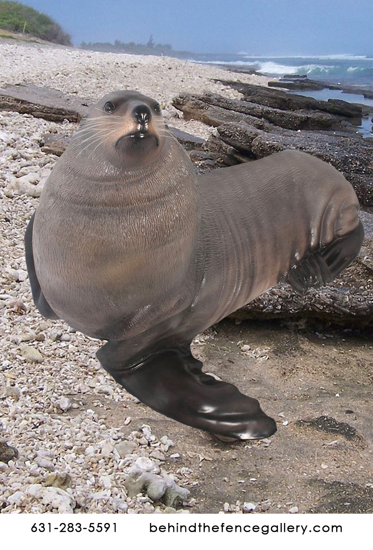 Male Fur Seal Statue