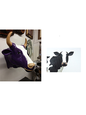 \'Milka Cow\' Head (with or without Horns)
