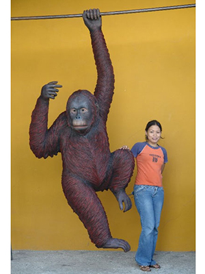 Life Size Safari Party Prop Fiberglass Orangutan Hanging - Click Image to Close