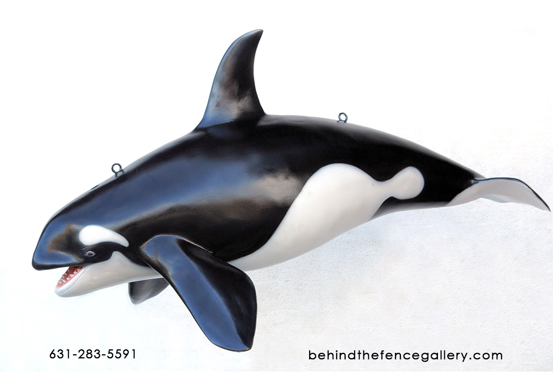 Small Orca Whale Wall Hanging