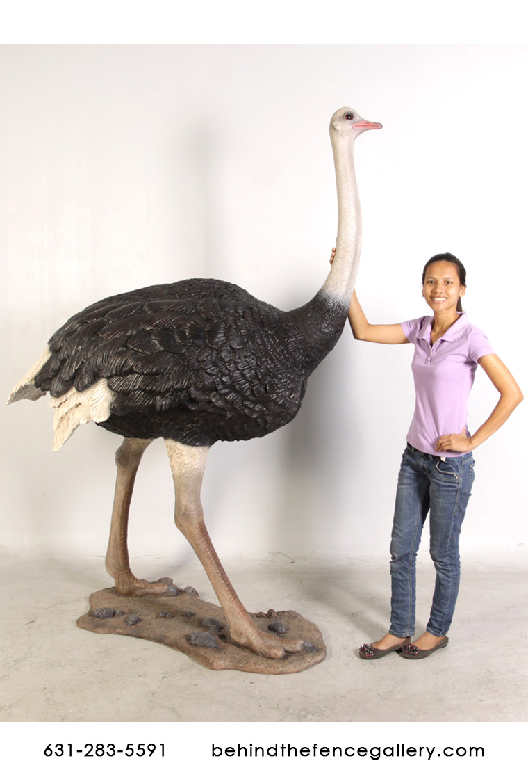 Ostrich Statue Life Size