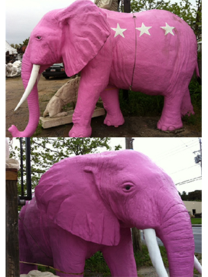 Elephant Pink - Click Image to Close