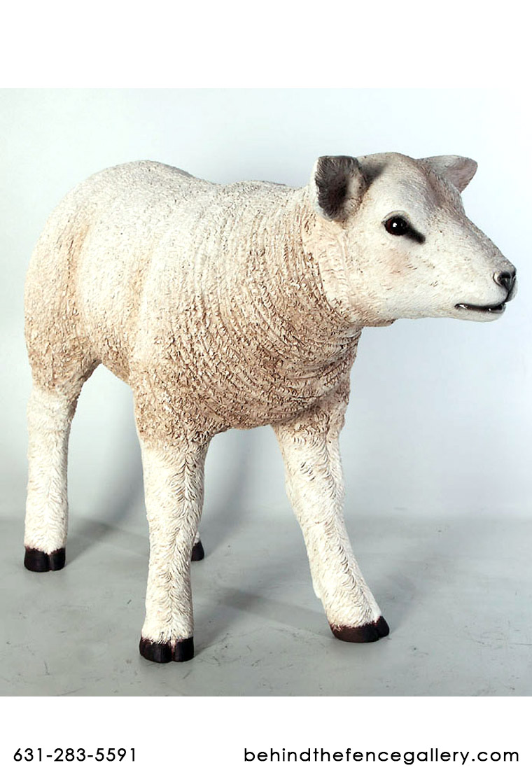 Lamb Statue White Texelaar Sheep - Click Image to Close