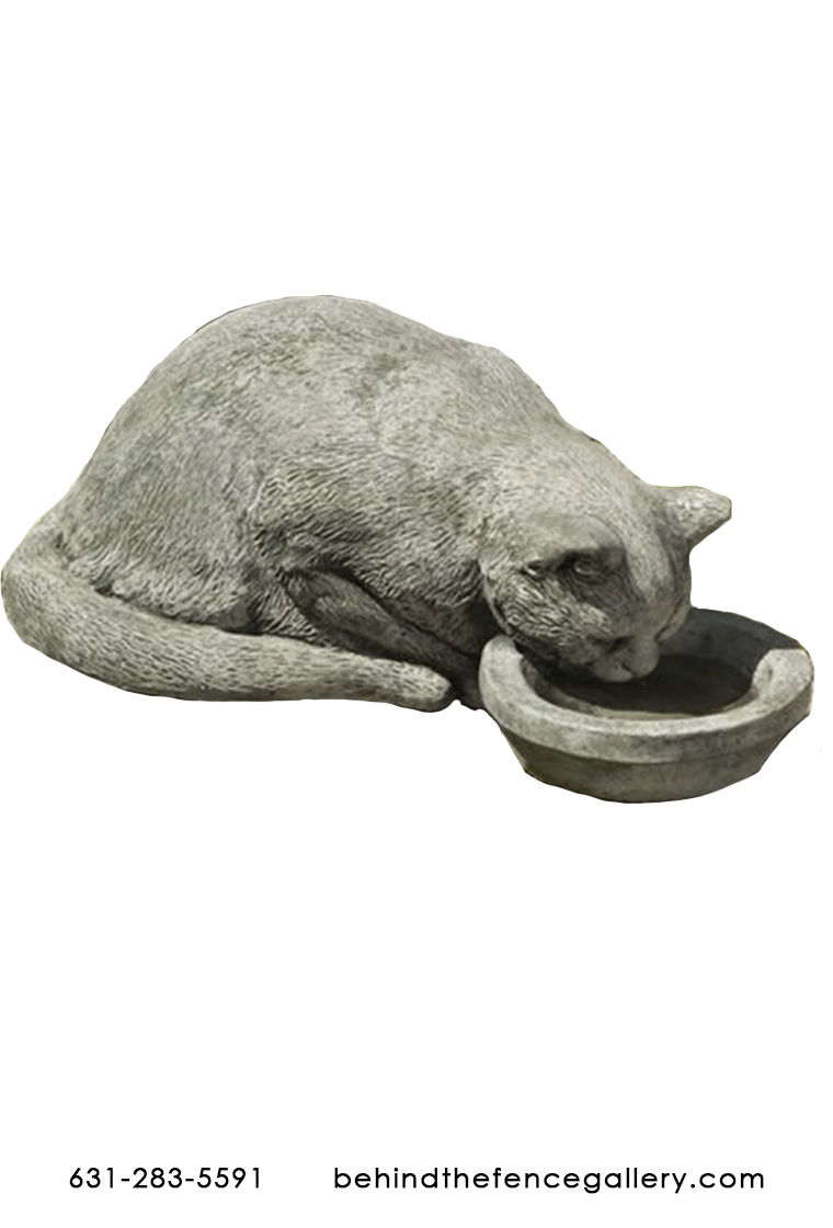 Thirsty Kitty Water Bowl