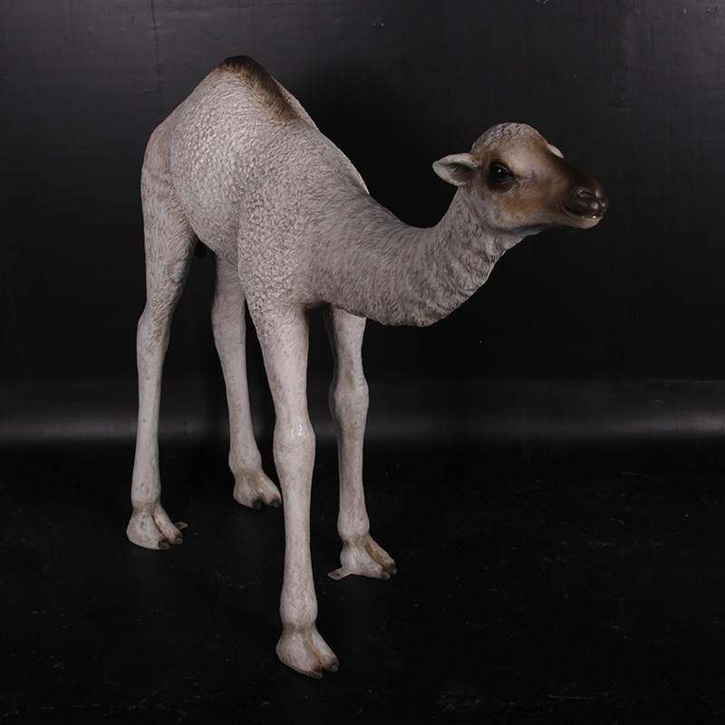Baby Camel Dromedary Statue