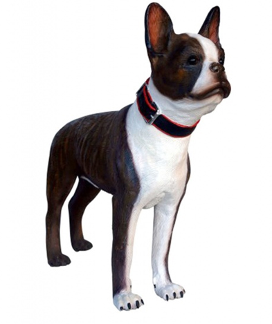 Life Size Boston Terrier Dog Statue