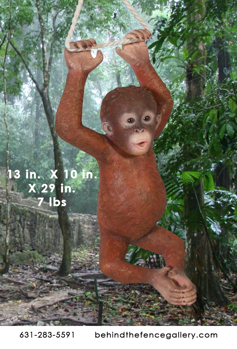 Hanging Baby Orangutan - Click Image to Close