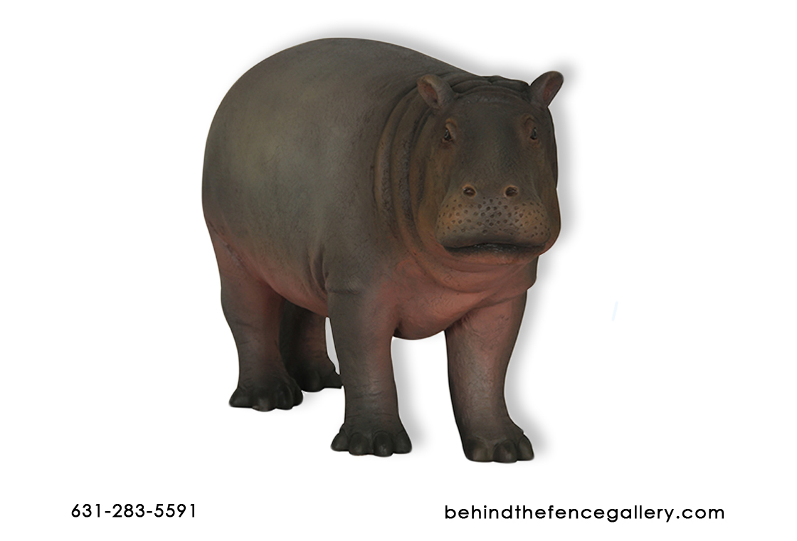 Life Size Baby Hippo Statue