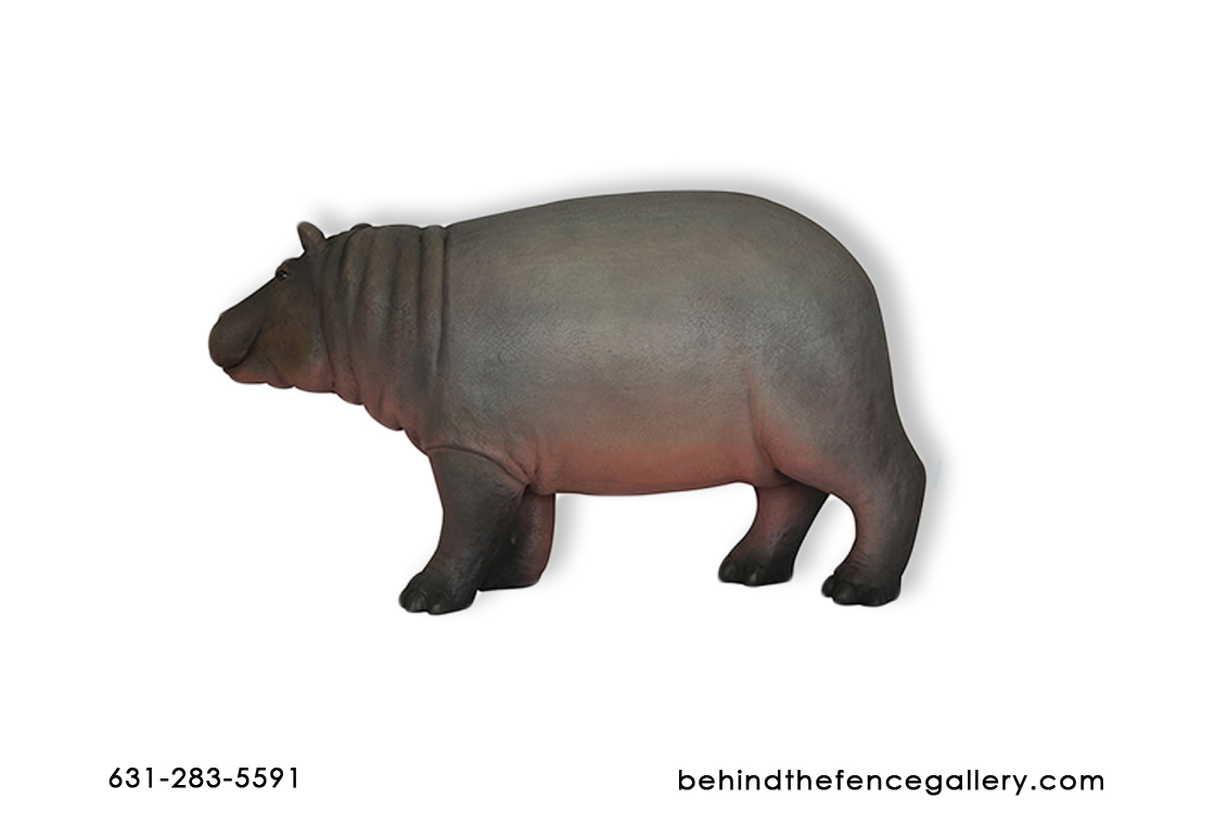 Life Size Baby Hippo Statue