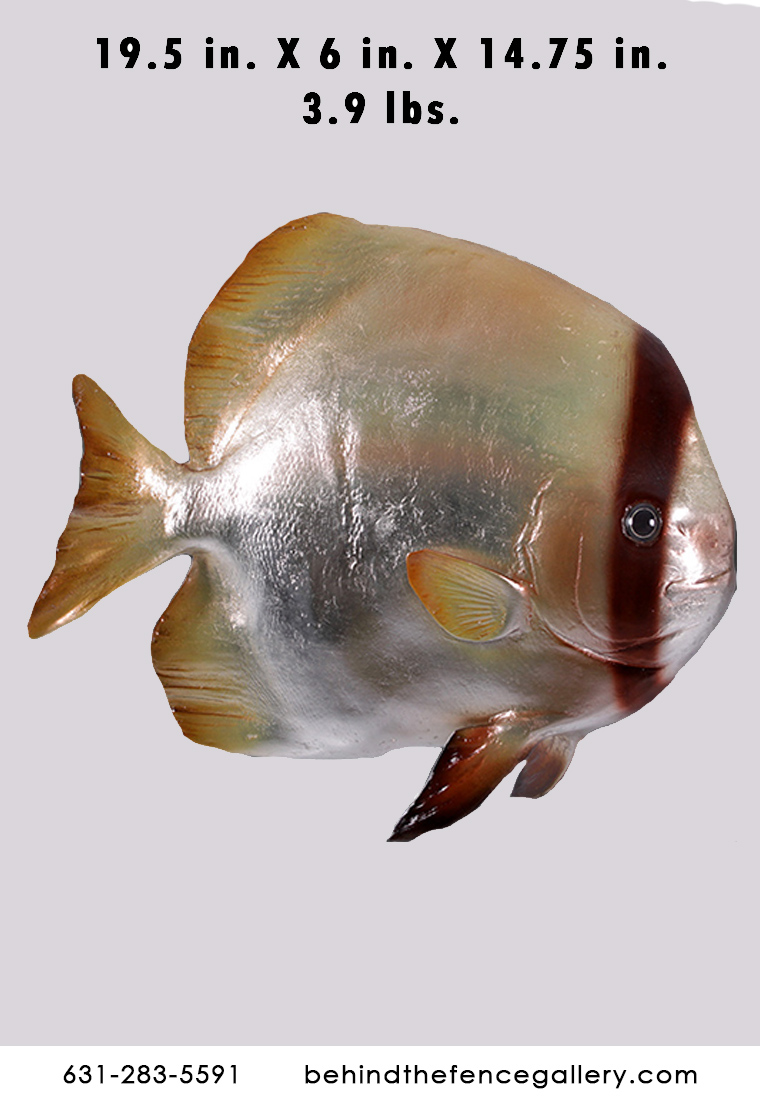 Batfish