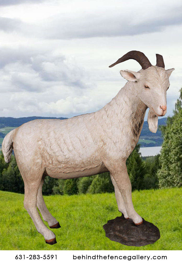 Billy Goat Statue Cream Billy Goat Statue : Life size statues, Life ...