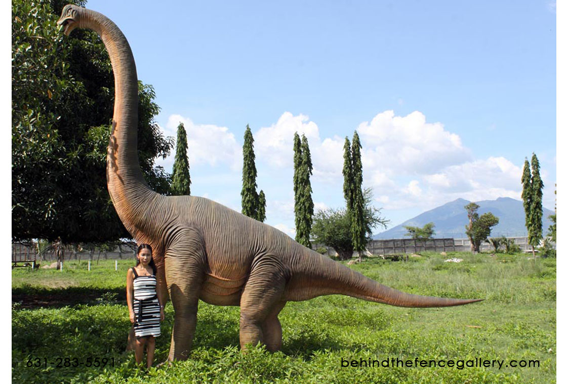 Brachiosaurus 15.5 Ft. Life Size Dinosaur Prop Fiberglass Statue