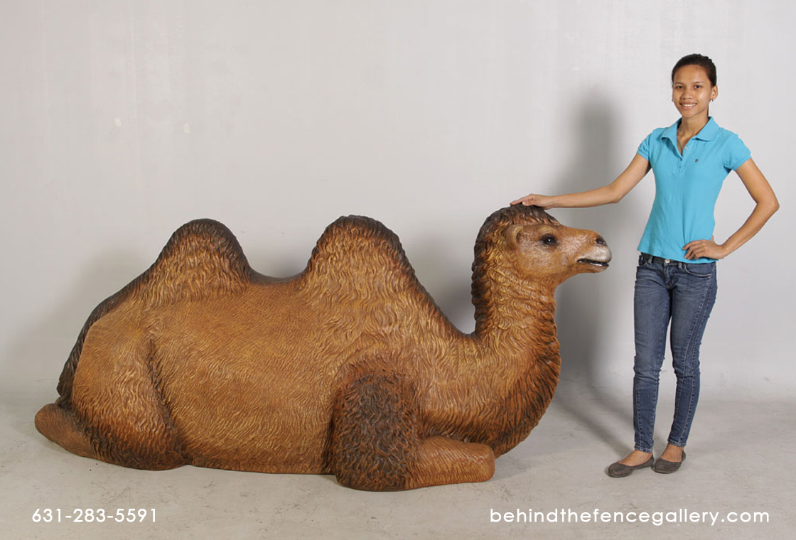 Camel Resting Bactrian Sculpture
