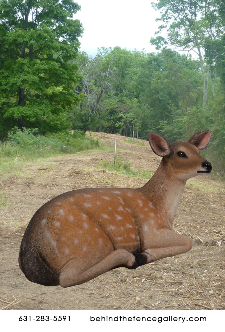 Fallow Deer Fawn Lying Statue