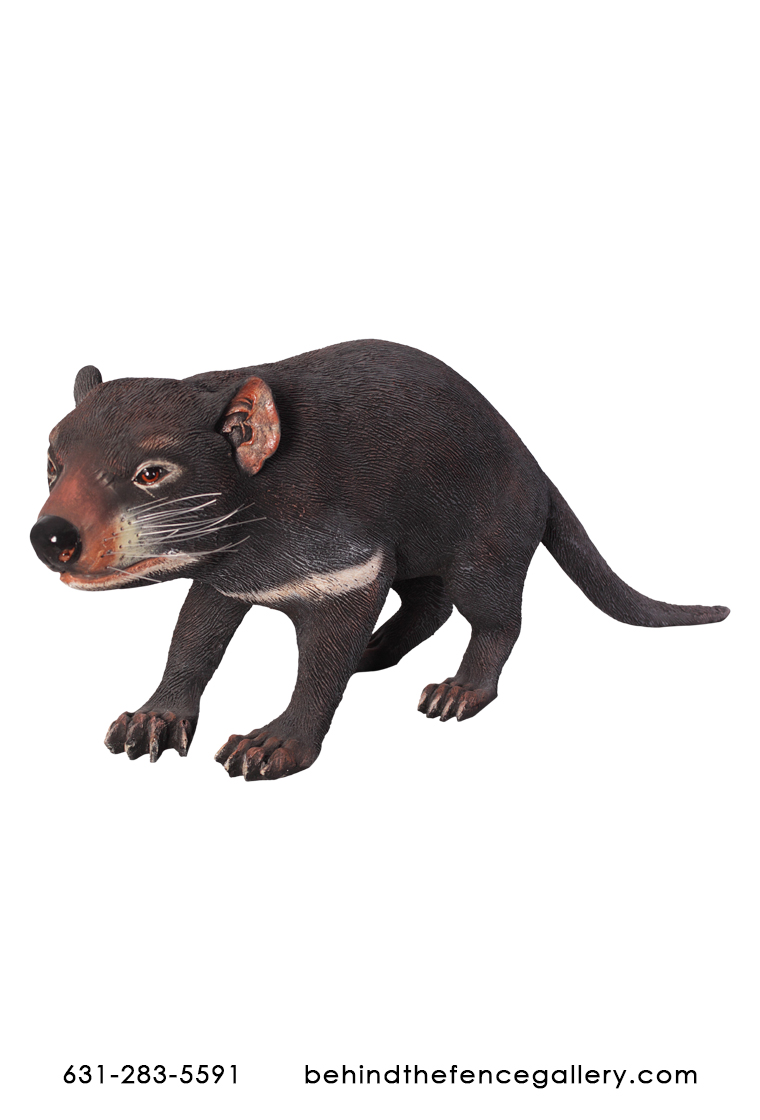 Tasmanian Devil Statue