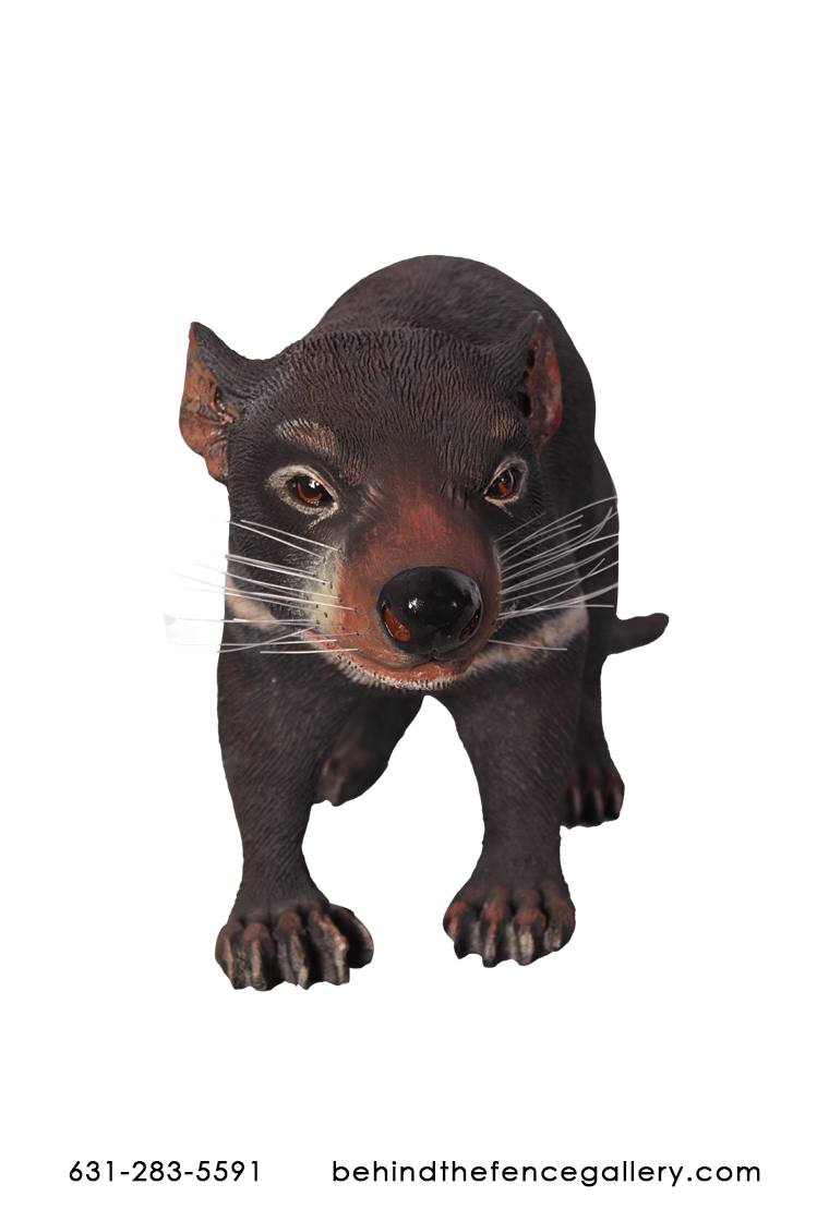 Tasmanian Devil Statue