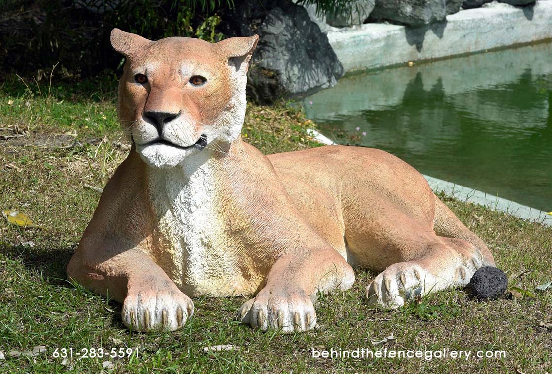 Lioness Lying Down Statue Safari Theme Prop