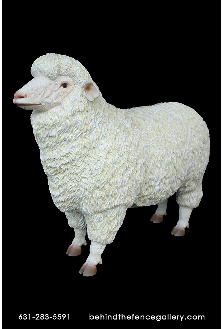 Merino Sheep Statue - 3ft.