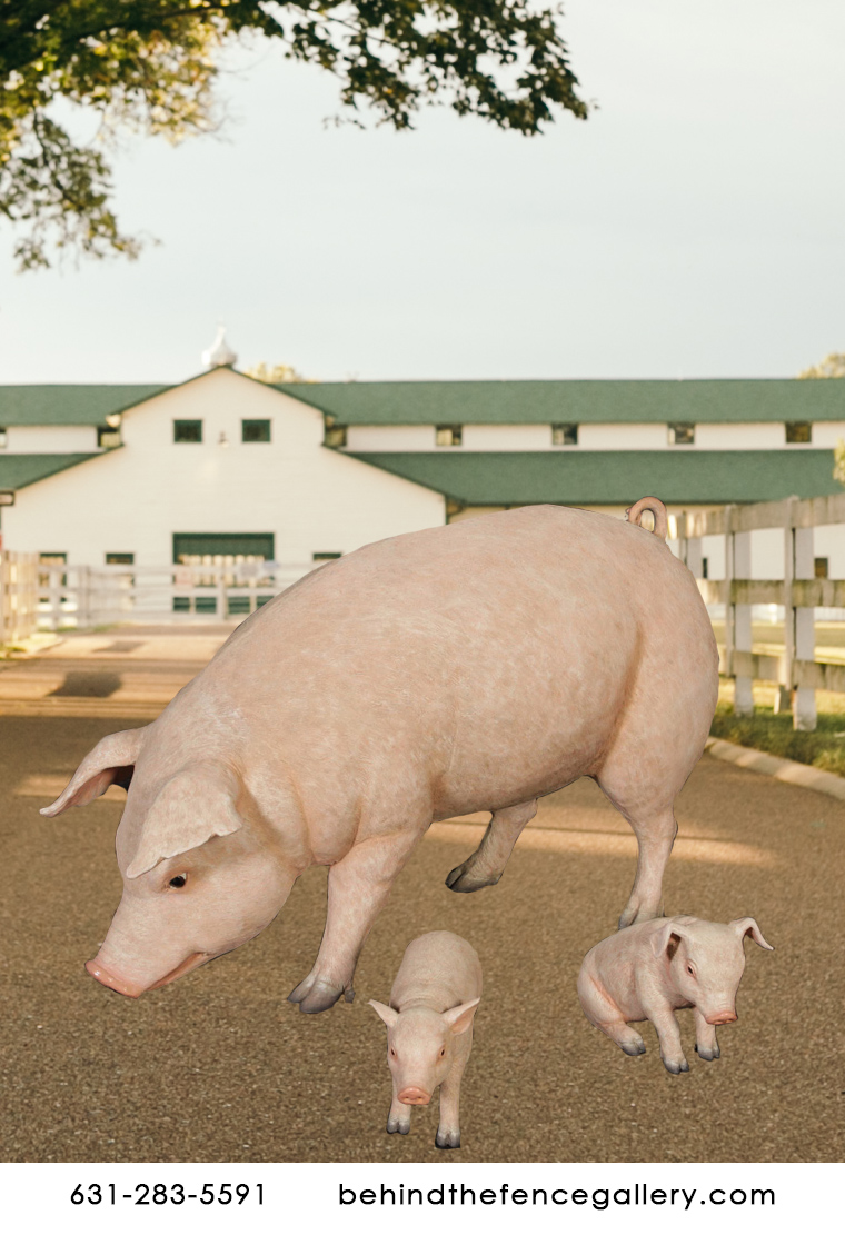 Adorable Pig Family