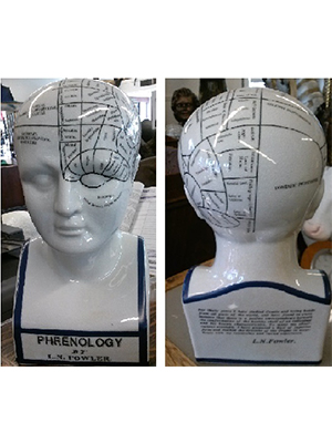 Phrenology Head Statue - Large - Click Image to Close