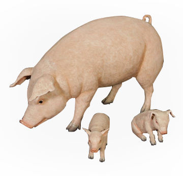 Banner  Banner