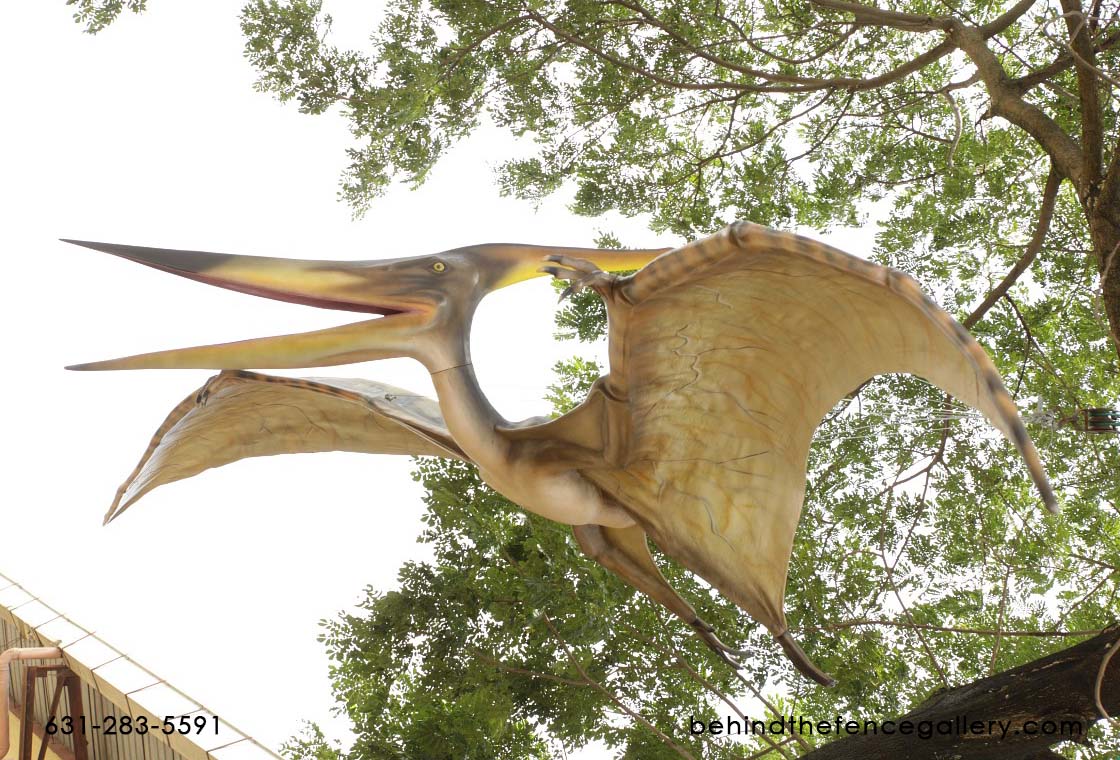 Pterodactyl Statue - 4 Ft. 4 Ft Pterodactyl Statue : Life size