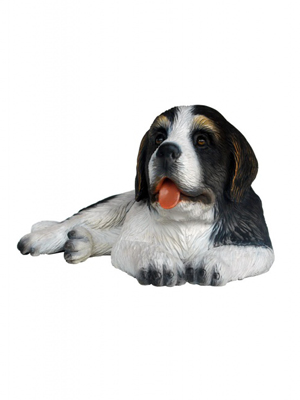Saint Bernard Dog Puppy - Click Image to Close