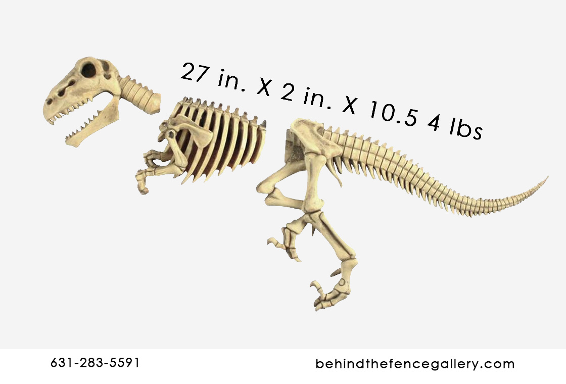 raptor dinosaur skeleton