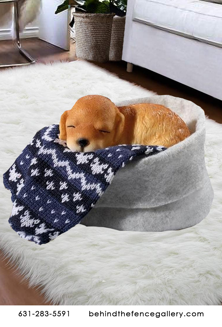 Cozy Labrador Puppy