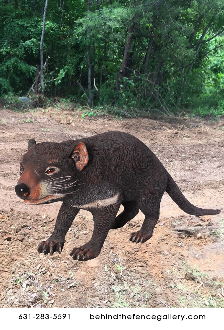 Tasmanian Devil Statue